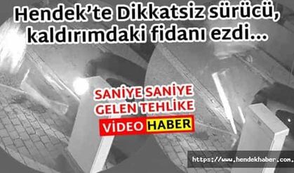 Hendek’te Dikkatsiz sürücü, kaldırımdaki fidanı ezdi…