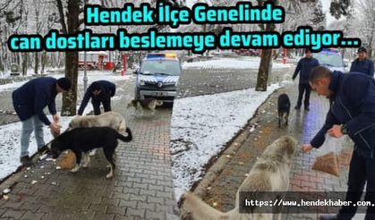 Hendek İlçe Genelinde can dostları beslemeye devam ediyor.