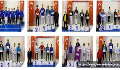 Hendek finallere katılmaya hak kazandı.
