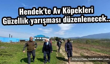 Hendek'te Av Köpekleri Güzellik yarışması düzenlenecek...