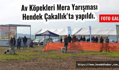 Av Köpekleri Mera Yarışması Hendek Çakallık'ta yapıldı.
