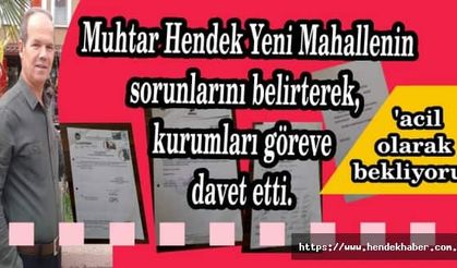Muhtar Hendek Yeni Mahallenin sorunlarını belirterek, kurumları göreve davet etti.
