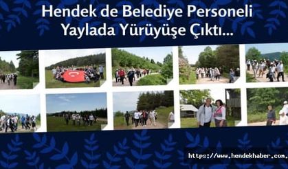 Hendek de Belediye Personeli Yaylada Yürüyüşe Çıktı...