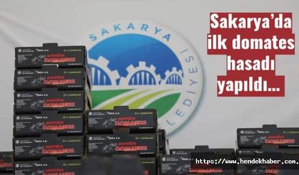 Sakarya’da ilk domates hasadı yapıldı…