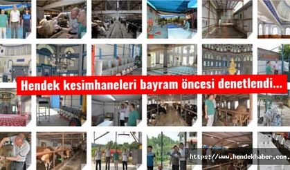 Hendek kesimhaneleri bayram öncesi denetlendi...