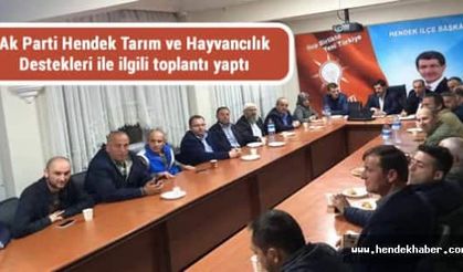 Ak Parti Hendek Tarım ve Hayvancılık Destekleri ile ilgili toplantı yaptı