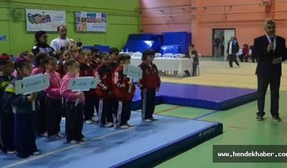 Analig Cimnastik Finalleri Sakarya’da Başladı