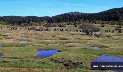 Bahar Yürüyüşü Karagöl-Sultanpınarı parkuru ile başladı