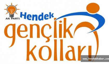 Hendek AK Gençlik’ten Türkiye Genelinde Derece