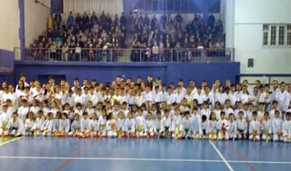 Hendek Karate Takımı terfi etti