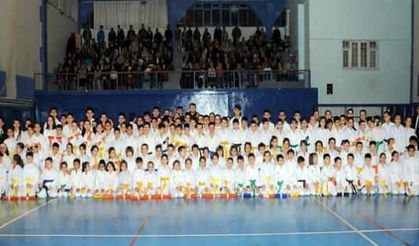 Hendek Karete Takımı  Basel Turnuvalarına katılıyor