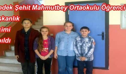 Hendek Şehit Mahmutbey Ortaokulu Öğrenci Başkanlık Seçimi Yapıldı.