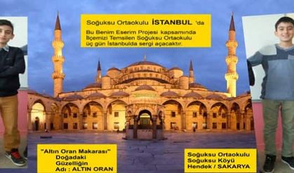 Hendek Soğuksu Ortaokulundan Başarılı Proje