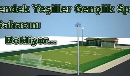 Hendek Yeşiller Gençlik Spor Sahasını Bekliyor