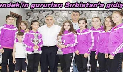 Hendek’in gururları Sırbistan’a gidiyor