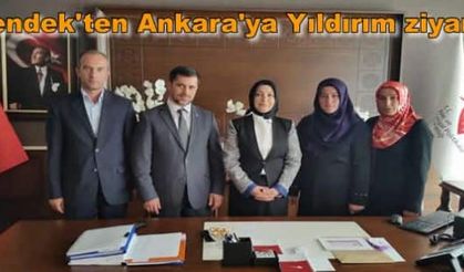 Hendek'ten Ankara'ya yıldırım ziyaret