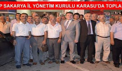 Mhp Sakarya İl Yönetim Kurulu Karasu'da Toplandı