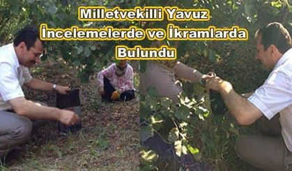 Milletvekilli Yavuz  İncelemelerde ve İkramlarda  Bulundu