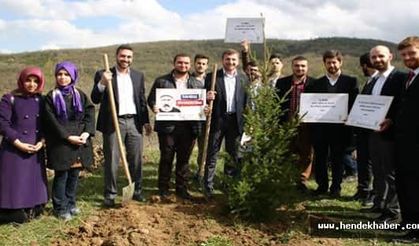 Sakarya Gençlik Kolları Yalova'da Fidan Dikti