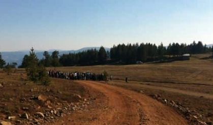 Sakarya'da Doğaseverler Yaylaya Çıktı