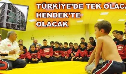 Türkiye’de tek olacak Hendek’te olacak