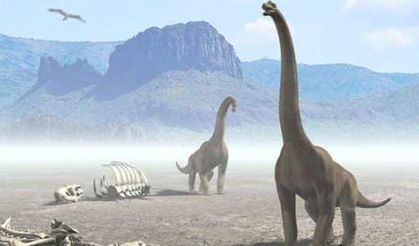 Yeni bir dinozor türü keşfedildi