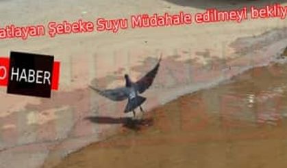 Hendek Patlayan Su şebekesi, müdahale edilmeyi bekliyor...