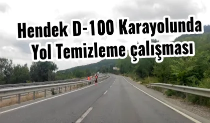 Hendek D-100 Karayolunda Yol Temizleme çalışması