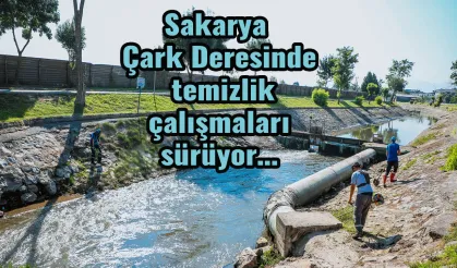 Sakarya Çark Deresinde temizlik çalışmaları sürüyor…