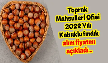 Toprak Mahsulleri Ofisi 2022 Yılı Kabuklu fındık alım fiyatını açıkladı… 