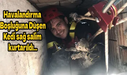 Havalandırma Boşluğuna Düşen Kedi sağ salim kurtarıldı…