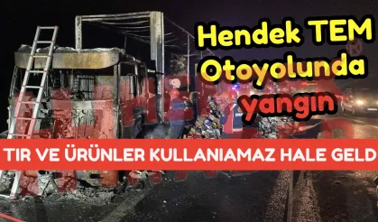 Hendek TEM Otoyolunda yangın