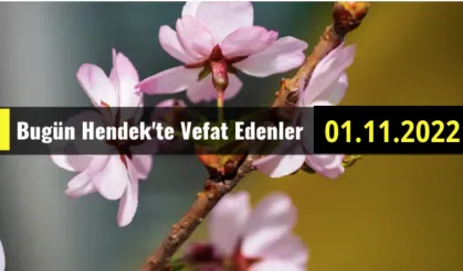 Bugün Hendek'te Vefat Edenler 01 - 11 - 2022