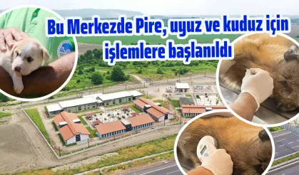 Bu Merkezde Pire, uyuz ve kuduz için işlemlere başlanıldı