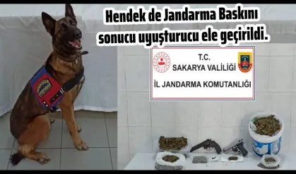 Hendek de jandarma baskını sonucu uyuşturucu ele geçirildi.