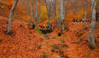 Sakarya’da Sonbaharın Tüm Tonlarını  Doğa Yürüyüşleri ile keşfettiler.