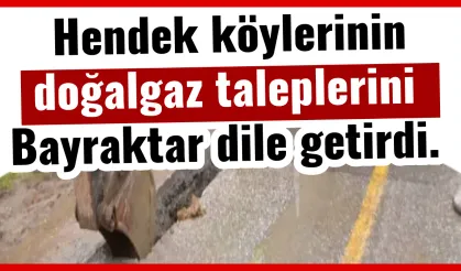 Hendek köylerinin doğalgaz taleplerini Bayraktar dile getirdi.