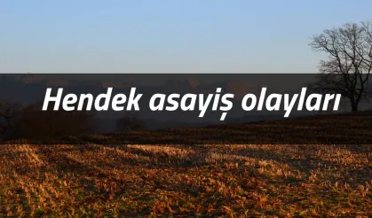 Hendek de yaşanan asayiş olayları