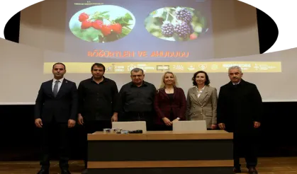 Böğürtlen ve Ahududu konusunda  teorik ve pratik eğitimler verildi