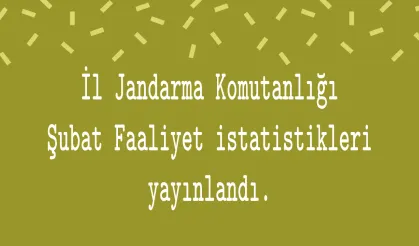 İl Jandarma Komutanlığı Şubat Faaliyet istatistikleri yayınlandı.