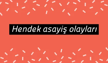 Hendek asayiş olayları