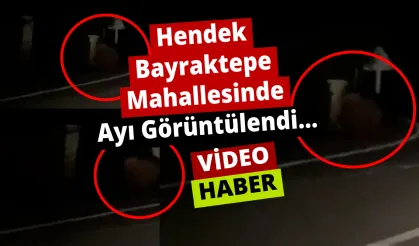 Hendek Bayraktepe Mahallesinde Ayı Görüntülendi…