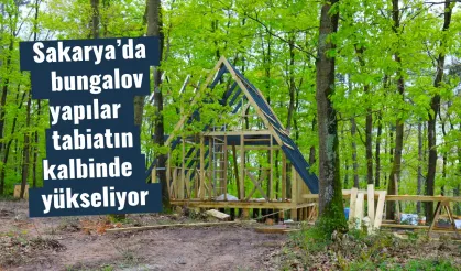 Sakarya’da bungalov yapılar tabiatın kalbinde yükseliyor