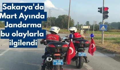 Sakarya'da Mart Ayında  Jandarma bu olaylarla ilgilendi