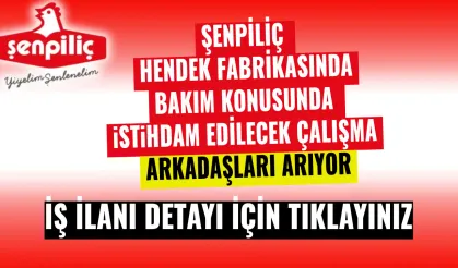 Şenpiliç Hendek Fabrikasında Bakim Konusunda İstihdam Edilecek Çalışma  Arkadaşları Arıyor