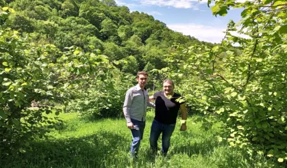 Hendek'te Fındık üreticisini ziyaret ettiler