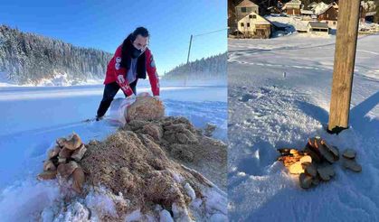 Hendek Yaylaları Kara Büründü , Hayat Arama Kurtarma Derneği’nden Doğaya Destek