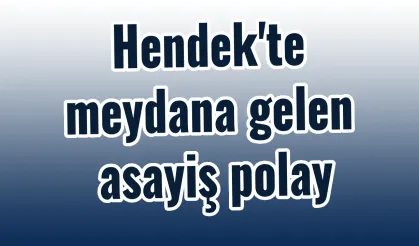 Hendek’te Asayiş: Trafik Kazaları ve Alkollü Sürüş Olayı