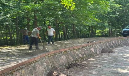 Hendek'te 22. Selman Dede Şenlikleri İçin Geri Sayım