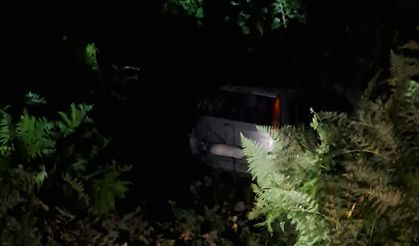 Bayraktepe Yolunda Kaza Araç Yoldan Çıkarak Çalılığa Girdi